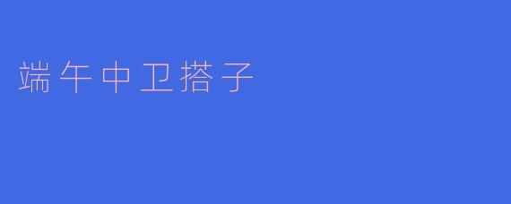 端午中卫搭子