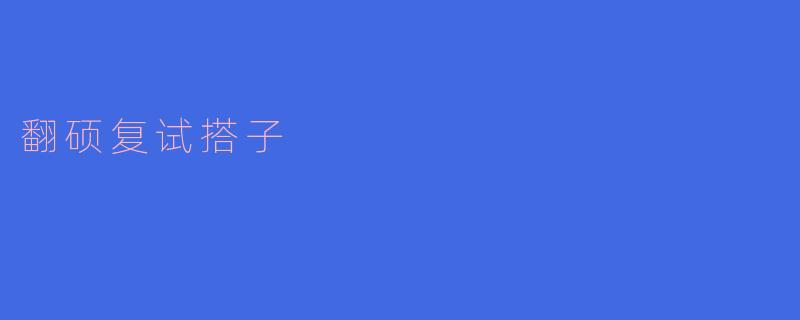 翻硕复试搭子