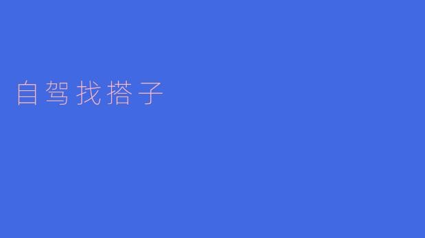 我想自驾游,但一个人去太无聊,有没有好的办法找搭子一起去呢?****