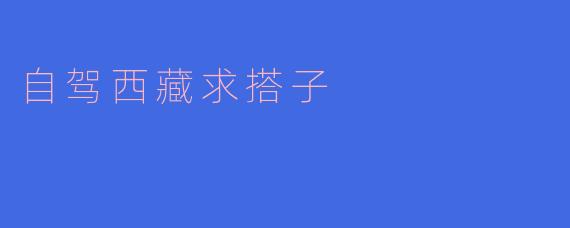 自驾西藏求搭子
