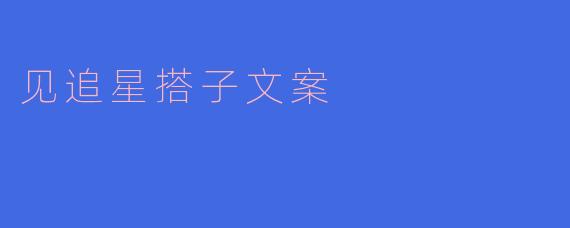 见追星搭子文案