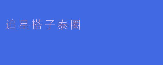 ### 追星搭子泰圈:在偶像的世界中与朋友共享的快乐