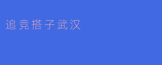 追竞搭子武汉