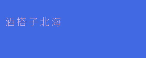 酒搭子北海