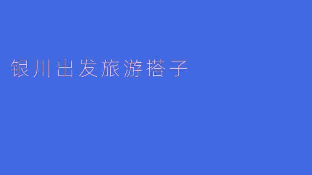 银川出发旅游搭子
