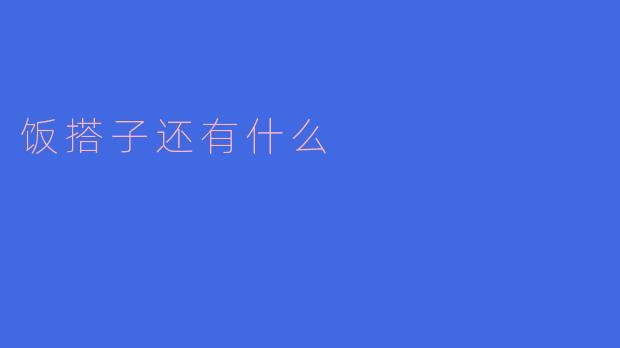 饭搭子还有什么