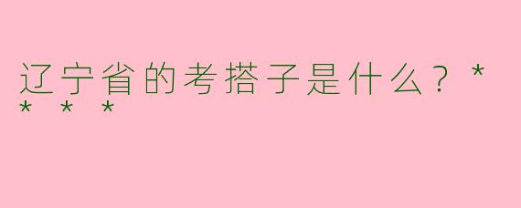 辽宁省的考搭子是什么?****