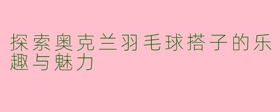 探索奥克兰羽毛球搭子的乐趣与魅力