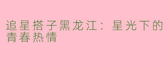 追星搭子黑龙江：星光下的青春热情