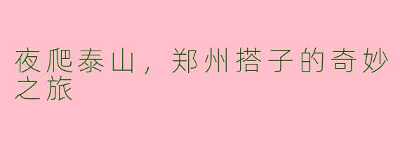 夜爬泰山，郑州搭子的奇妙之旅
