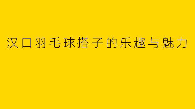 汉口羽毛球搭子的乐趣与魅力