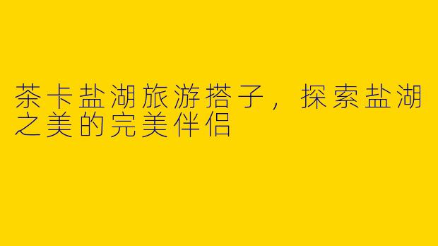茶卡盐湖旅游搭子,探索盐湖之美的完美伴侣