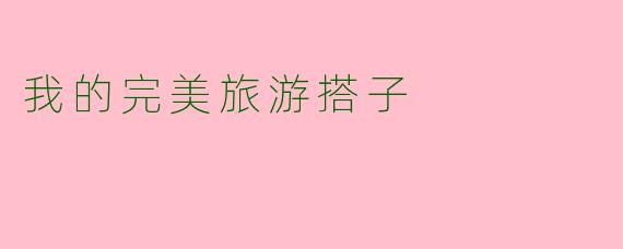 我的完美旅游搭子