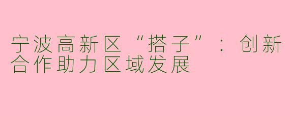 宁波高新区“搭子”：创新合作助力区域发展