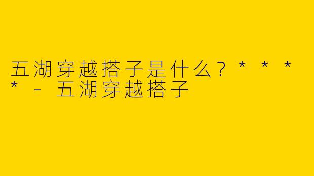 五湖穿越搭子是什么?****