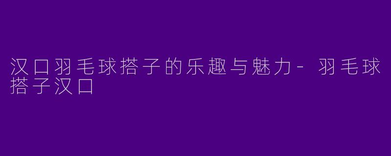 汉口羽毛球搭子的乐趣与魅力