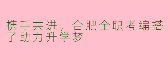 携手共进，合肥全职考编搭子助力升学梦