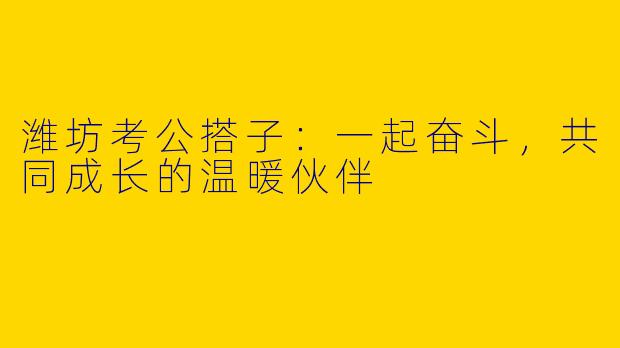 潍坊考公搭子：一起奋斗，共同成长的温暖伙伴