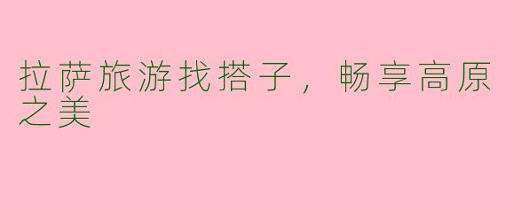拉萨旅游找搭子，畅享高原之美