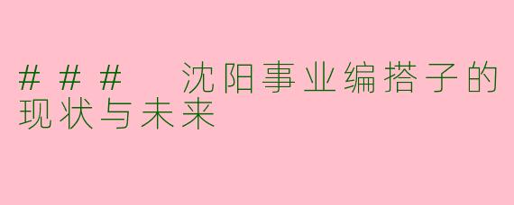 ### 沈阳事业编搭子的现状与未来