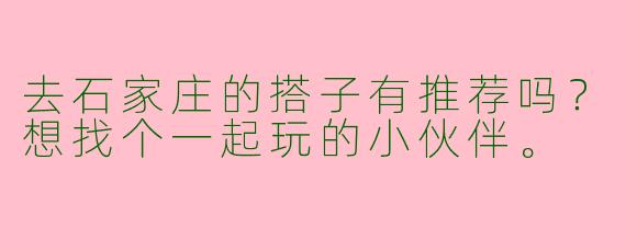 去石家庄的搭子有推荐吗？想找个一起玩的小伙伴。