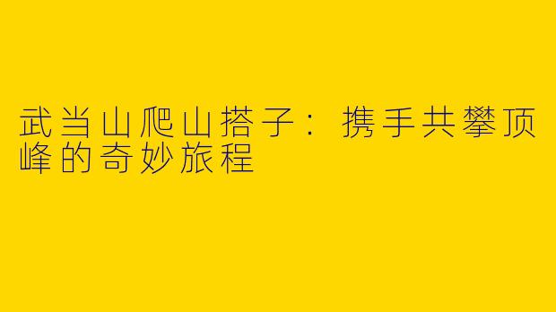 武当山爬山搭子：携手共攀顶峰的奇妙旅程
