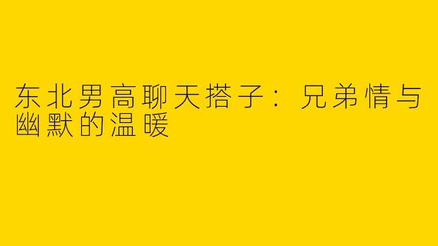 东北男高聊天搭子:兄弟情与幽默的温暖