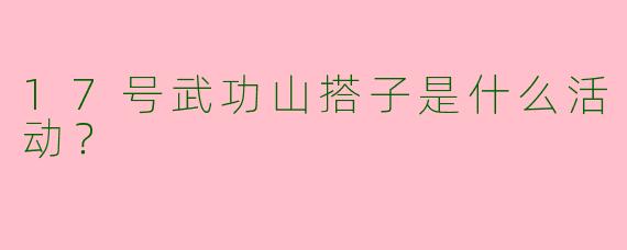 17号武功山搭子是什么活动?