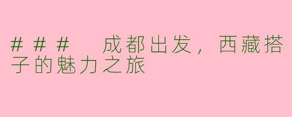 ### 成都出发，西藏搭子的魅力之旅