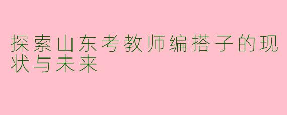 探索山东考教师编搭子的现状与未来