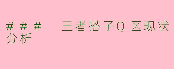 ### 王者搭子Q区现状分析