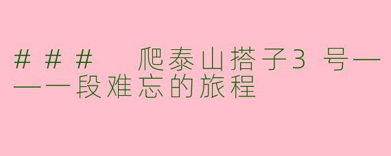 ### 爬泰山搭子3号——一段难忘的旅程