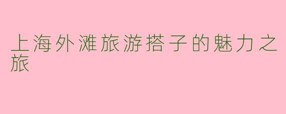 上海外滩旅游搭子的魅力之旅