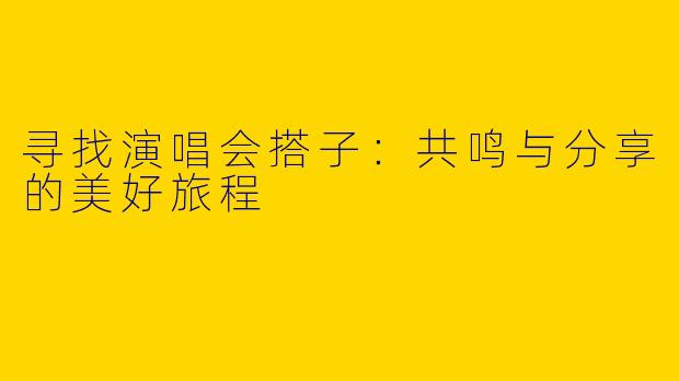 寻找演唱会搭子：共鸣与分享的美好旅程