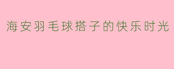 海安羽毛球搭子的快乐时光