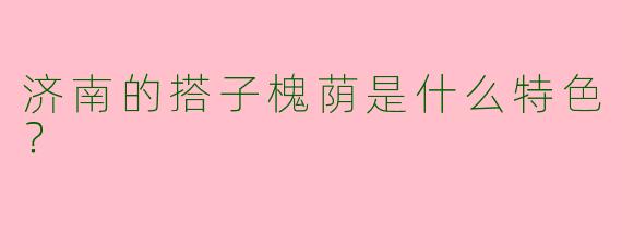 济南的搭子槐荫是什么特色？