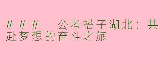 ### 公考搭子湖北：共赴梦想的奋斗之旅