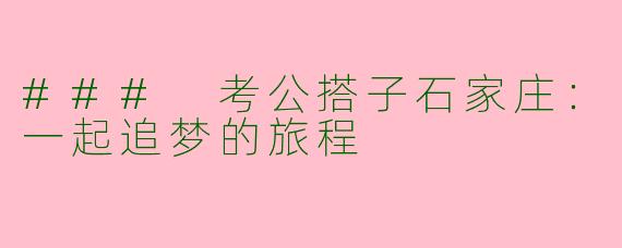 ### 考公搭子石家庄：一起追梦的旅程