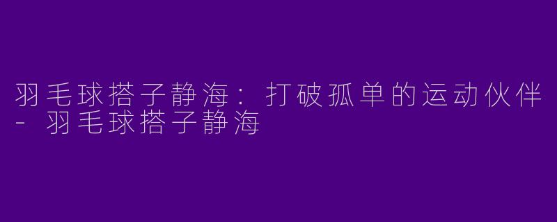 羽毛球搭子静海：打破孤单的运动伙伴-羽毛球搭子静海