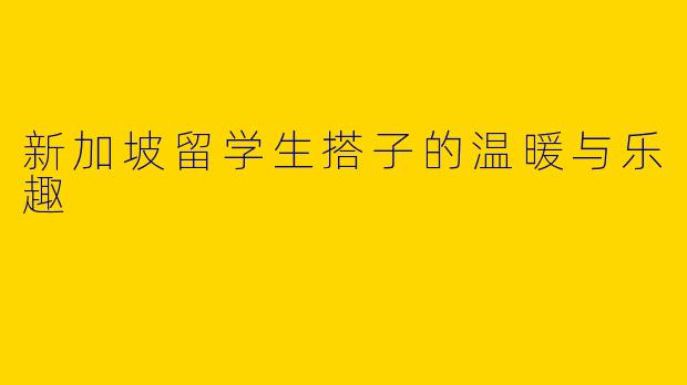 新加坡留学生搭子的温暖与乐趣