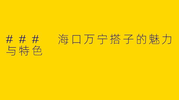 ### 海口万宁搭子的魅力与特色