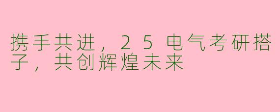 携手共进，25电气考研搭子，共创辉煌未来
