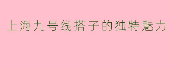 上海九号线搭子的独特魅力