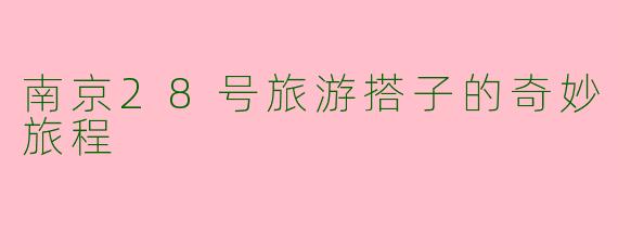 南京28号旅游搭子的奇妙旅程