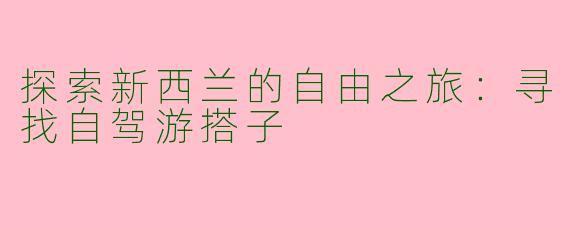 探索新西兰的自由之旅：寻找自驾游搭子