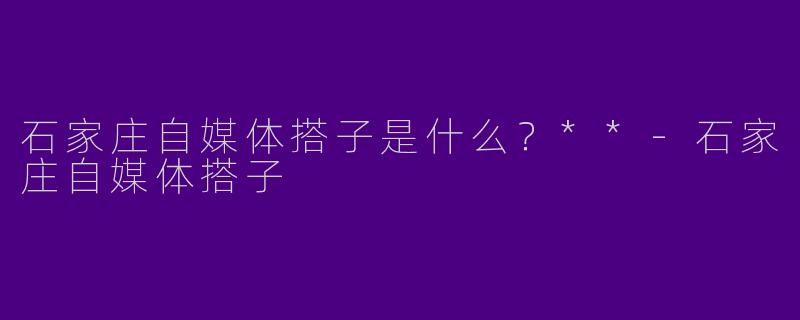 石家庄自媒体搭子是什么?**