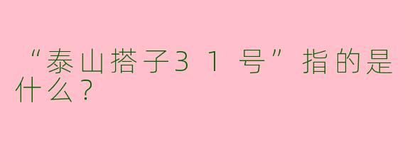 “泰山搭子31号”指的是什么？