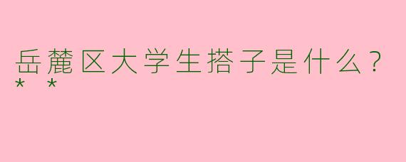 岳麓区大学生搭子是什么?**