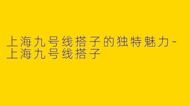 上海九号线搭子的独特魅力-上海九号线搭子