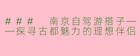 ### 南京自驾游搭子——探寻古都魅力的理想伴侣